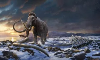 کروموزوم های ماموت پشمالو