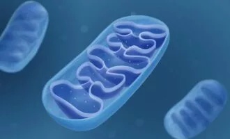 DNA میتوکندریایی