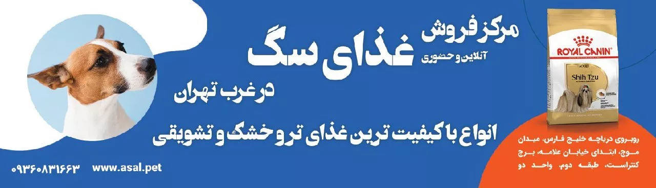 فروش غذای سگ غرب تهران
