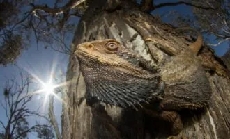 مسابقه عکاسی