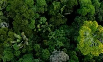 ترجمه زبان گیاهان