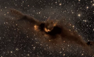 تصویر روز ناسا: خفاش کیهانی؛ زایشگاهی در دل تاریکی