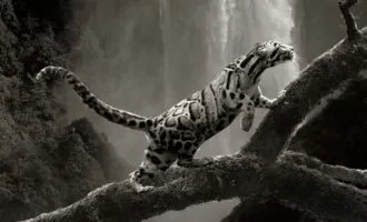 مسابقه عکاسی خلاقانه 2024