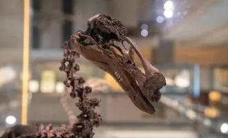 صحبت‌کردن با حیوانات موزه از طریق هوش مصنوعی