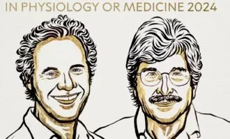 جایزه نوبل پزشکی 2024
