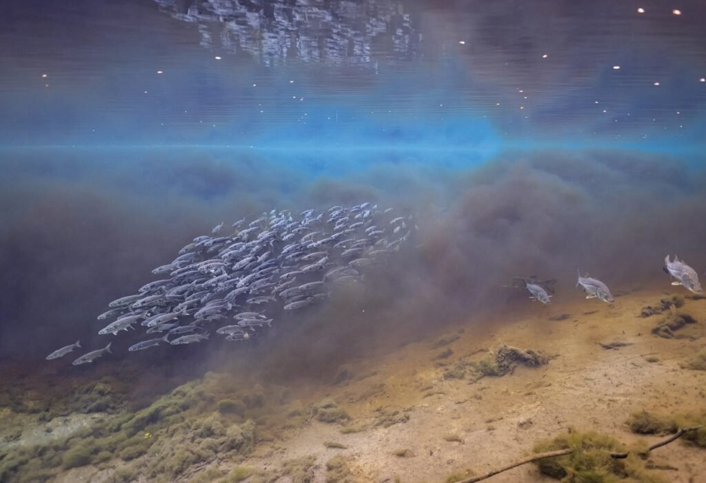 بهترین عکس سال ۲۰۲۵