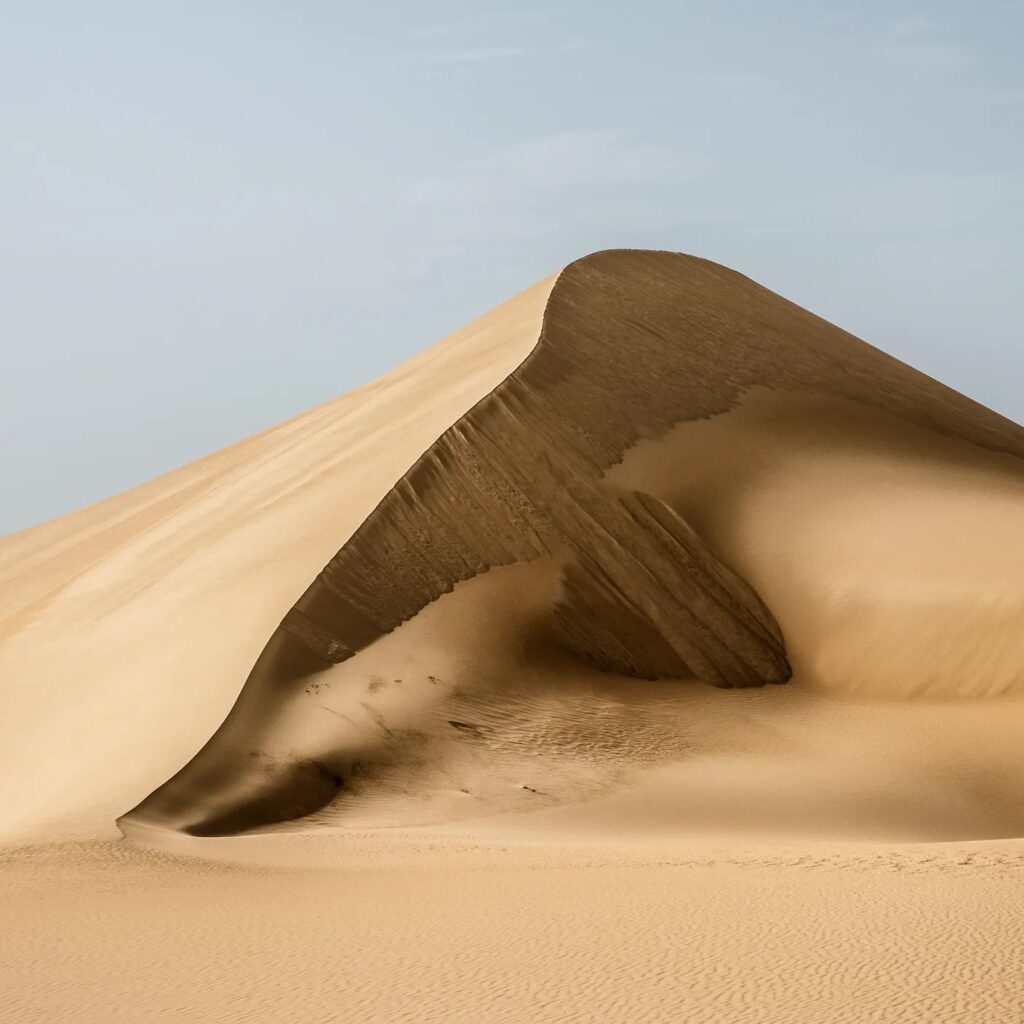 بهترین عکس سال ۲۰۲۵