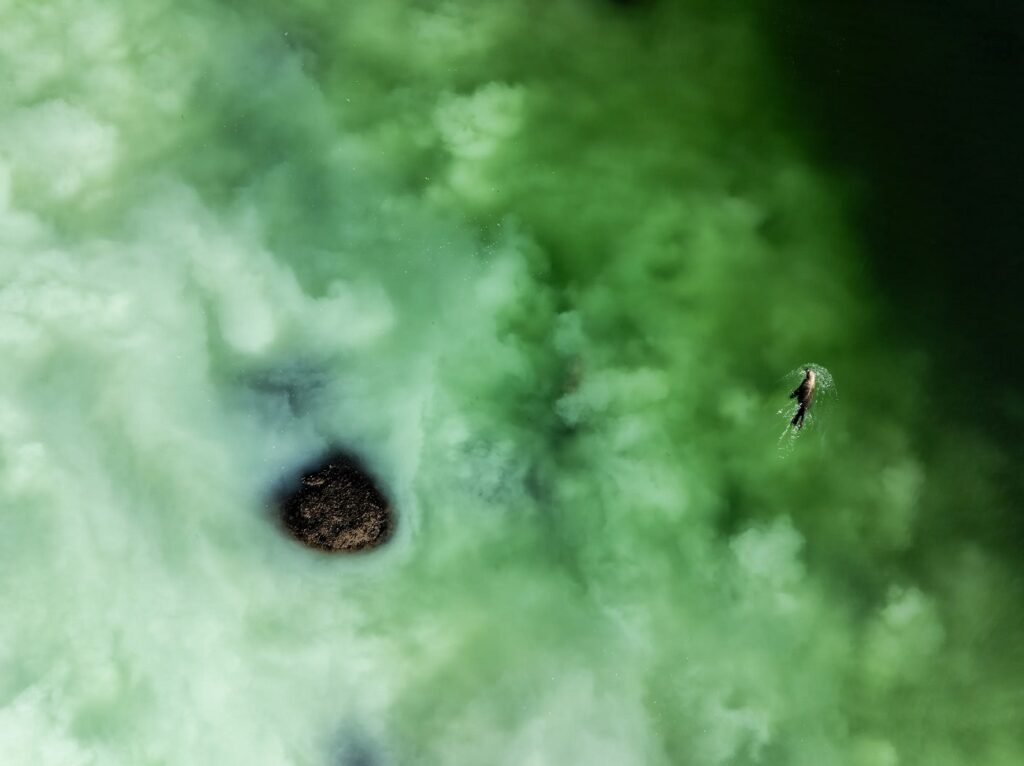 بهترین عکس سال ۲۰۲۵