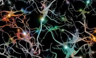 حافظه در سلول‌های بدن