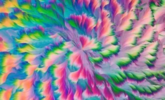 مسابقه عکاسی میکروسکوپی 2024