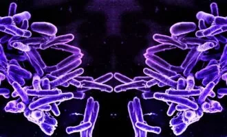 باکتری‌های آینه‌ای