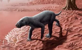 قدیمی‌ترین جد پستانداران