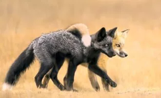 برندگان مسابقه عکاسی 2024