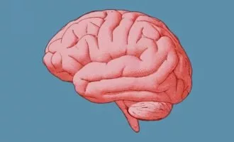 مغز چگونه وقایع را بخش بندی می کند