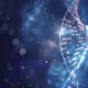 آزمایش DNA