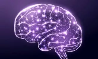 مطالعه جدید نشان داد: توانایی قشر مغز در پیش‌بینی آینده