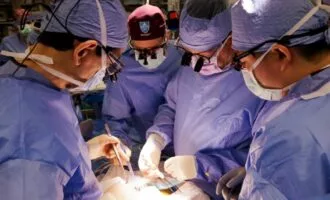 پیوند کلیه خوک