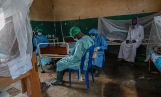 بیماری جدید در کنگو در اثر خوردن خفاش