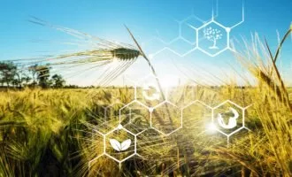 میکروپلاستیک