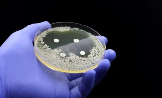 یک محیط کشت حاوی باکتری و آنتی‌بیوتیک برای سنجش مقاومت به آنتی‌بیوتیک