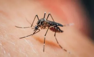 داروی مالاریا