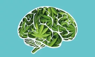 تأثیر ماریجوانا بر حافظه