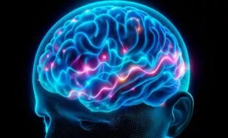 تأثیر بی‌تحرکی بر مغز