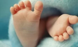 تأثیر لقاح بر چربی