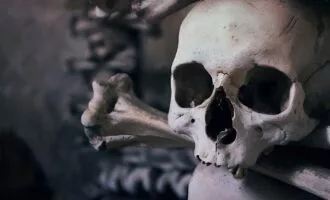 فروش استخوان انسان