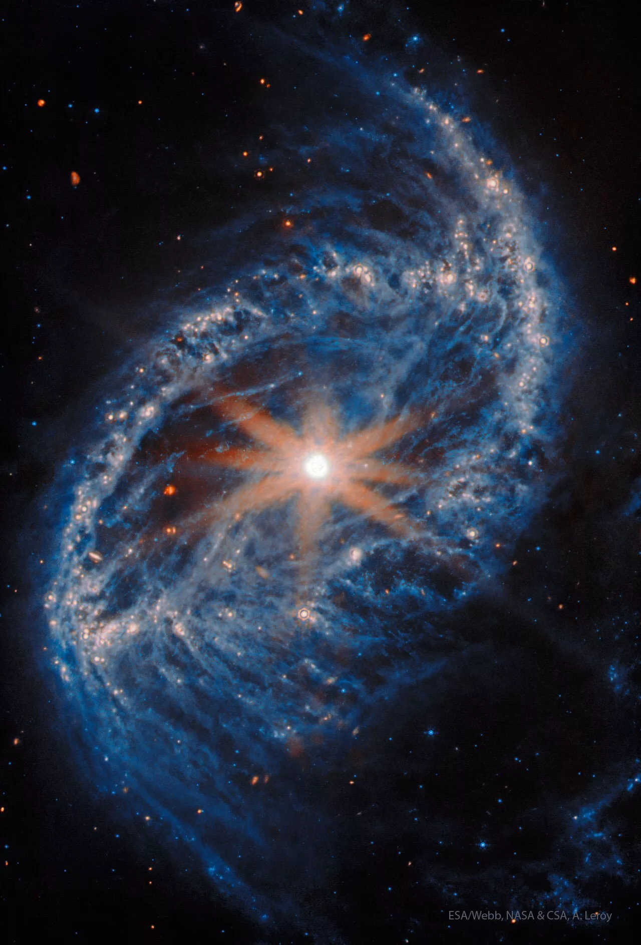 تصویر روز ناسا: کهکشان مارپیچی NGC 2566 از نگاه جیمز وب