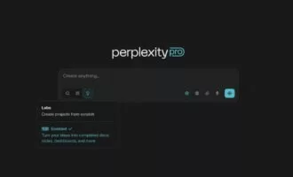 Perplexity