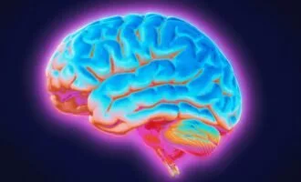 تأثیر رژیم فستینگ بر مغز