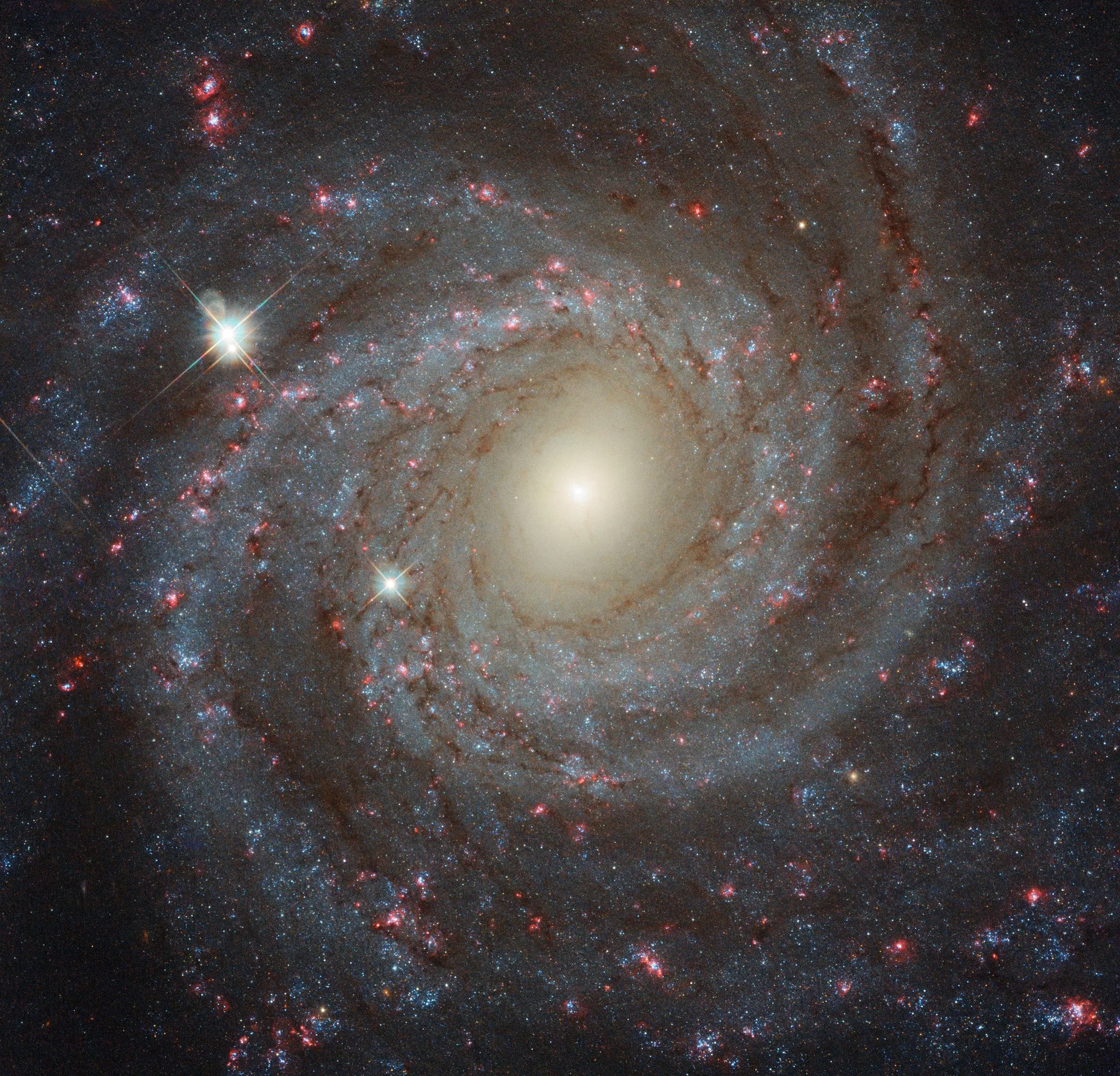 تصویر روز ناسا: کهکشان مارپیچی NGC 3344 از نمای روبه‌رو
