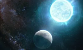 کوتوله سفید