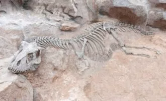 سرطان و فسیل دایناسور