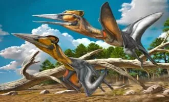 کشف خزنده بال‌دار در ژاپن