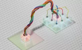 اینترنت کوانتومی