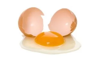 تأثیر تخم‌مرغ بر آلزایمر