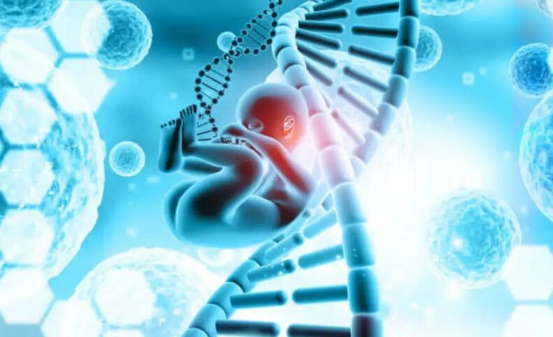دستاورد محققان بریتانیایی:‌ تولد 8 نوزاد با استفاده از DNA سه‌نفر برای پیشگیری از بیماری‌های میتوکندریایی
