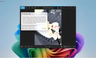 قابلیت جدید توصیف تصویر در ویندوز 11 با هوش مصنوعی