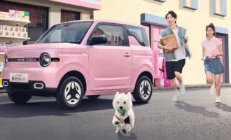 لیوان اسمورف