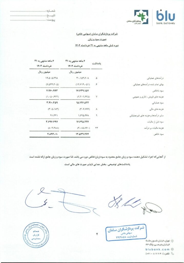 صورت مالی بلو