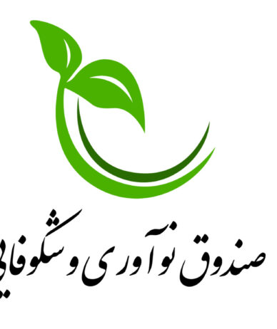 از هر سه شرکت دانش‌بنیان متقاضی، تنها یک شرکت مشمول حمایت صندوق نوآوری شد