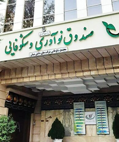 صندوق نوآوری و شکوفایی مجاز به سرمایه‌گذاری مشترک با ایرانیان خارج کشور شد