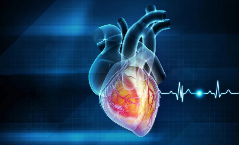 پژوهش جدید:‌ حمله قلبی ممکن است مسری و عفونی باشد