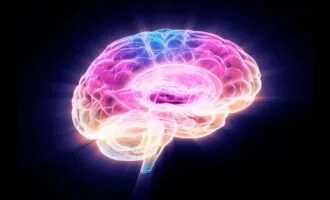 معکوسکردن پیری