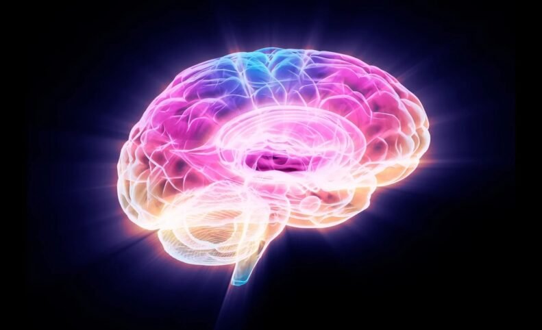 محققان با خاموش‌کردن یک پروتئین، پیری مغز را در موش‌ها معکوس کردند