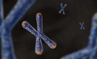 DNA