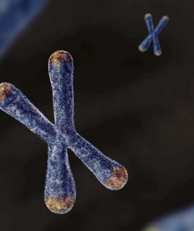 تحقیق جدید: DNA پدر و مادر از بدو تولد بر روند پیری و بیماری‌ها اثر می‌گذارد