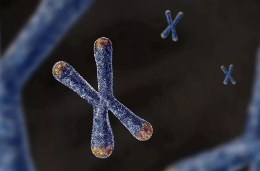DNA